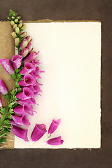 Image showing Foxglove Flower 