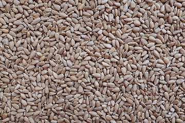 Image showing Hulled sunflower seed hearts 