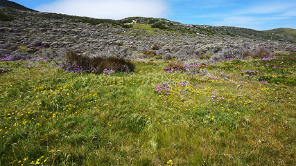 Image showing Scenic road at Table mountain. Cape Town, South Africa.