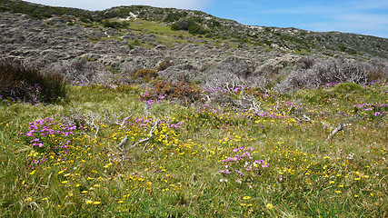 Image showing Scenic road at Table mountain. Cape Town, South Africa.