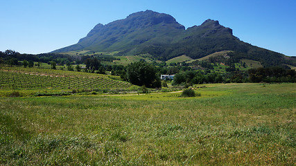 Image showing Mountains in Stellenbosch wine region, outside of Cape Town, Sou