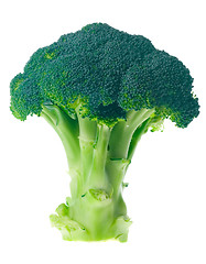 Image showing Broccoli

