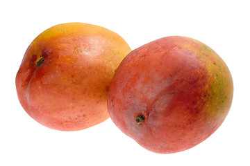 Image showing Tropical fruit - Mango

