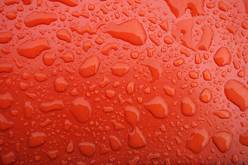 Image showing Water droplet