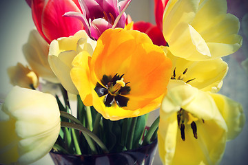 Image showing Bouquet of colorful spring tulips