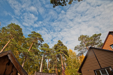 Image showing House at forest