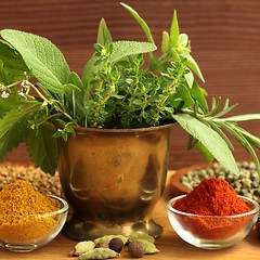 Image showing Herbs and spices