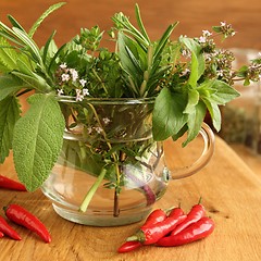 Image showing Aromatic herbs