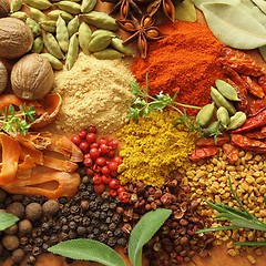 Image showing Spices and herbs