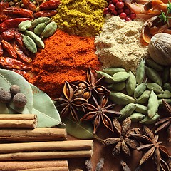 Image showing Spices and herbs