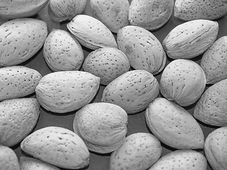 Image showing Almond fruit