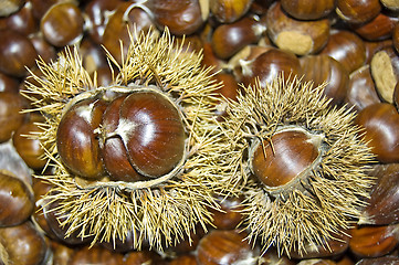 Image showing Chestnuts