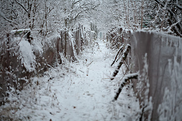 Image showing winter path way