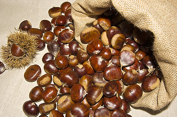 Image showing Sack of chestnuts