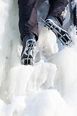 Image showing Ice climbing competition in Tyumen. Russia