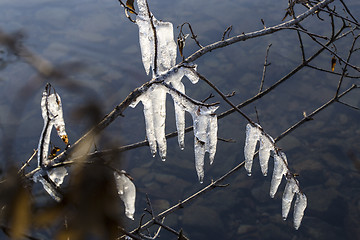 Image showing Icicles at a lake