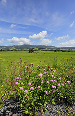 Image showing Rose Valley, Kiama Australia