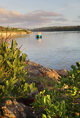 Image showing Early morning on the Minamurra River