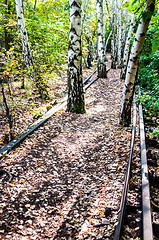 Image showing Schoeneberger Suedgelaende Nature Park