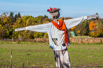 Image showing Scarecrow