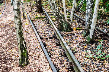 Image showing Schoeneberger Suedgelaende Nature Park