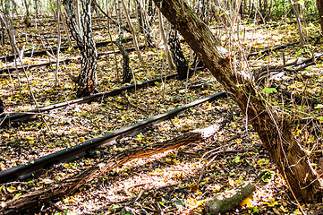 Image showing Schoeneberger Suedgelaende Nature Park