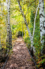 Image showing Schoeneberger Suedgelaende Nature Park