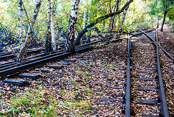 Image showing Schoeneberger Suedgelaende Nature Park