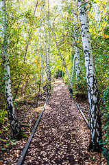 Image showing Schoeneberger Suedgelaende Nature Park