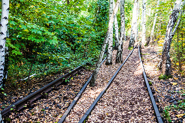 Image showing Schoeneberger Suedgelaende Nature Park