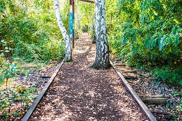 Image showing Schoeneberger Suedgelaende Nature Park