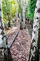 Image showing Schoeneberger Suedgelaende Nature Park