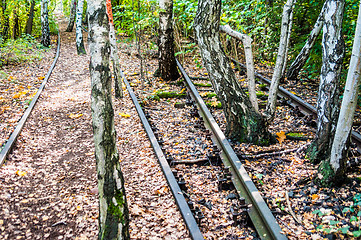 Image showing Schoeneberger Suedgelaende Nature Park