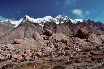 Image showing Engilchek glacier