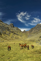 Image showing Peruvian Andes