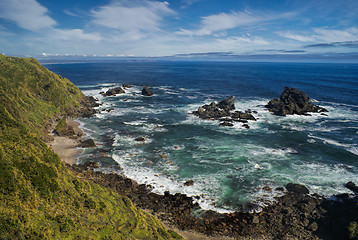 Image showing Parque Nacional Chiloe