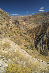 Image showing Canon del Colca