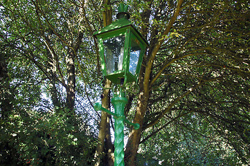 Image showing Leafy Lamplight