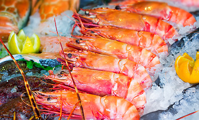 Image showing Large Mediterranean prawns and other seafood.