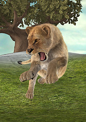 Image showing Hunting Lioness