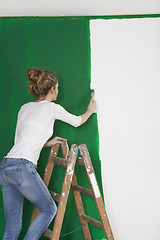 Image showing Woman with brush on ladder