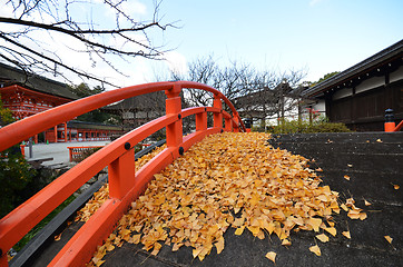 Image showing Yellow leaves on the bridge in Shimogamo-jinja Shrine Kyoto 