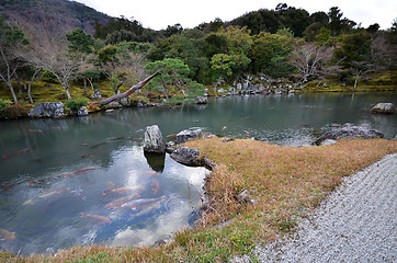 Image showing Tenryu-ji in Kyoto, Japan