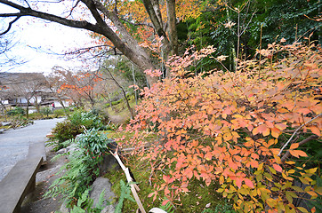 Image showing Tenryu-ji in Kyoto, Japan