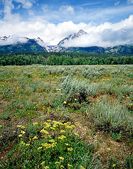 Image showing Grand Teton