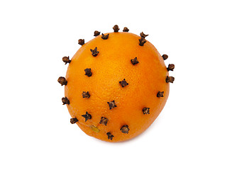 Image showing Orange studded cloves