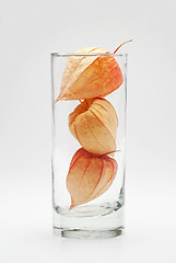 Image showing three physalis in the glass