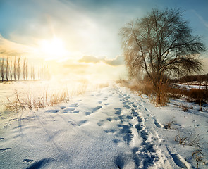 Image showing Winter in countryside