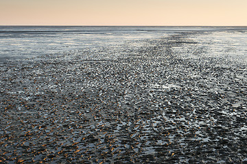 Image showing mudflat landscape at sunset