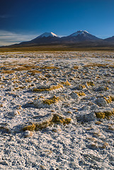 Image showing Sajama